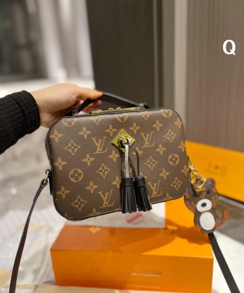 LC251 - Louis Vuitton Women's Fashion Bag