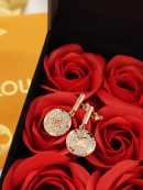 Louis Vuitton Earrings