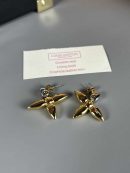 Louis Vuitton Earrings