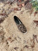 Saint Laurent Women's Ysl Embroidered Espadrilles Brown For Women YSL