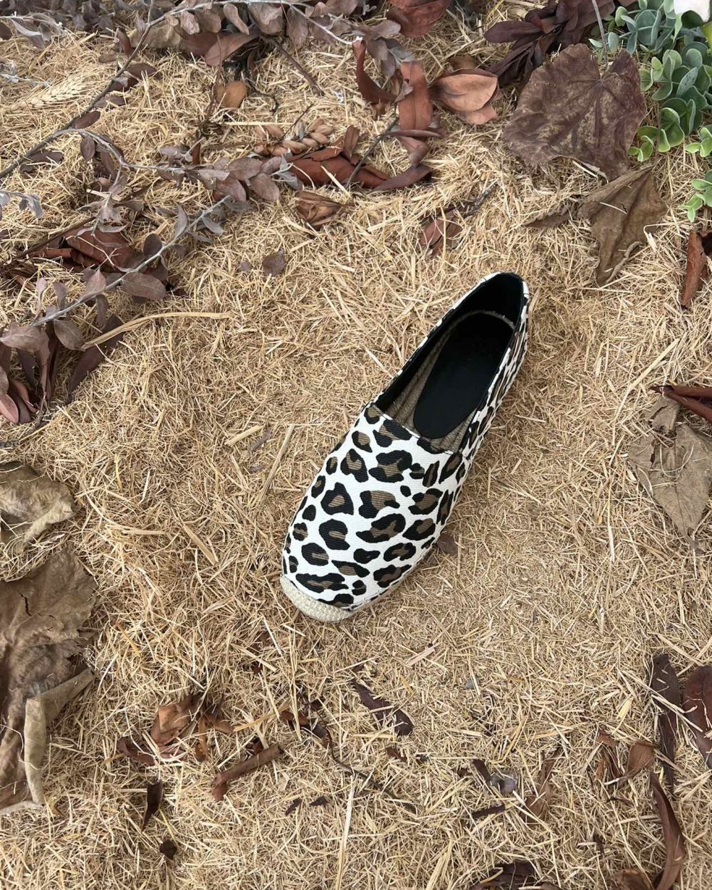 Saint Laurent Women's Ysl Embroidered Espadrilles White For Women YSL