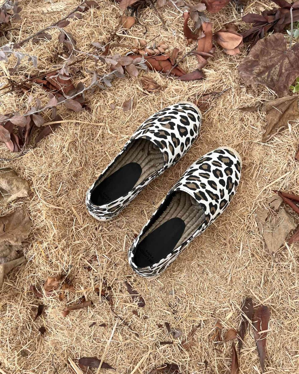 Saint Laurent Women's Ysl Embroidered Espadrilles White For Women YSL