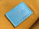 1:1 Replica Louis Vuitton Coussin PM Light Green Lake Blue M57791 Luxury Bag For Women -  26cm