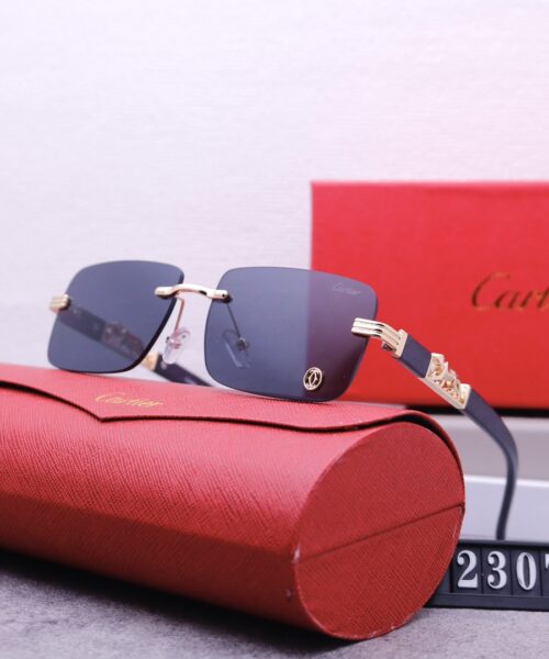 Catier Travel Sunglasses