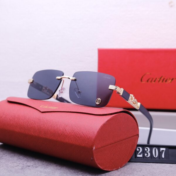 Catier Travel Sunglasses