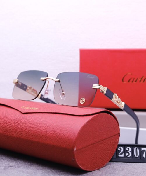 Catier Travel Sunglasses