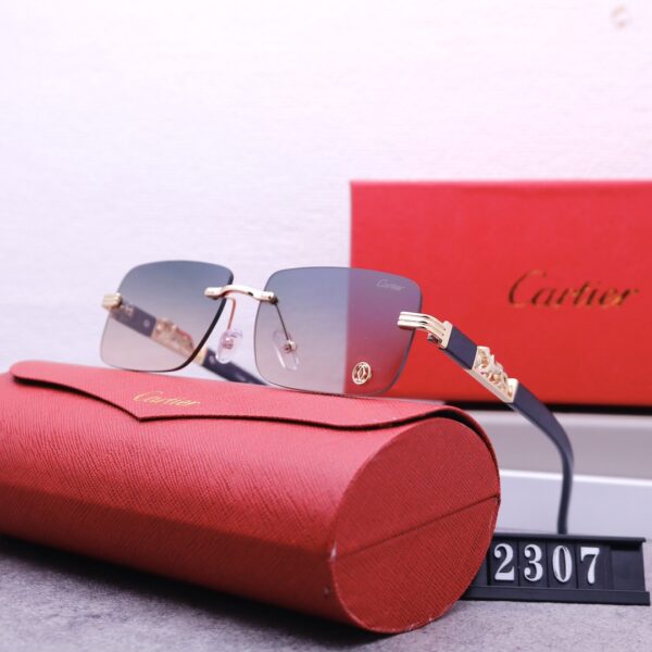 Catier Travel Sunglasses