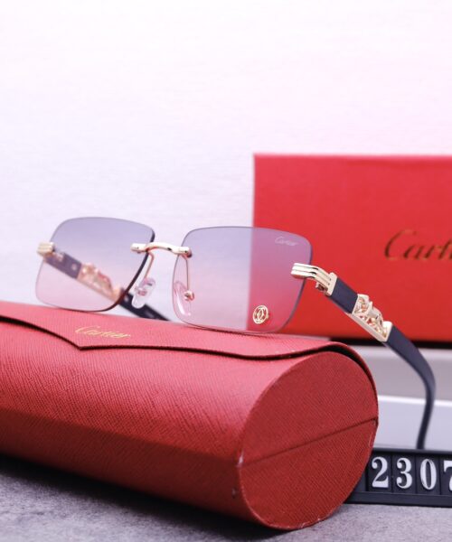 Catier Travel Sunglasses