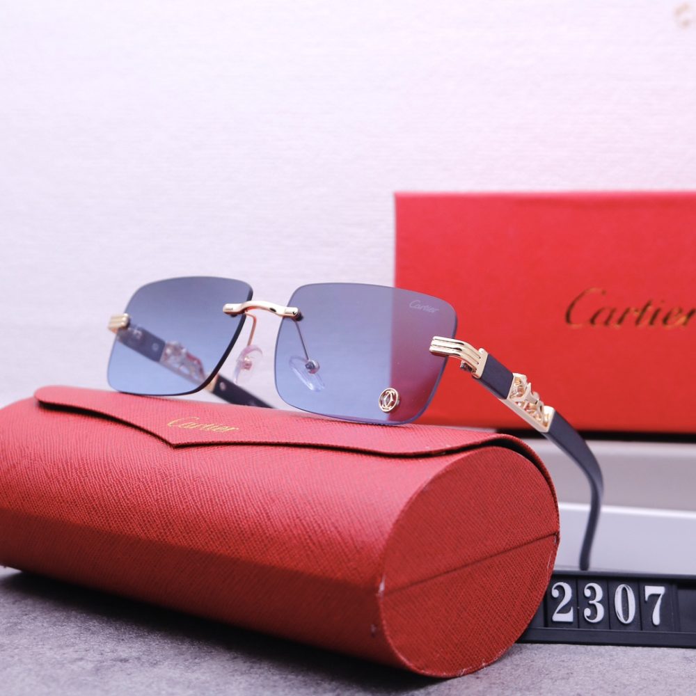 Catier Travel Sunglasses