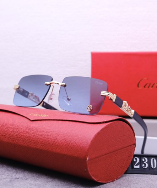 Catier Travel Sunglasses