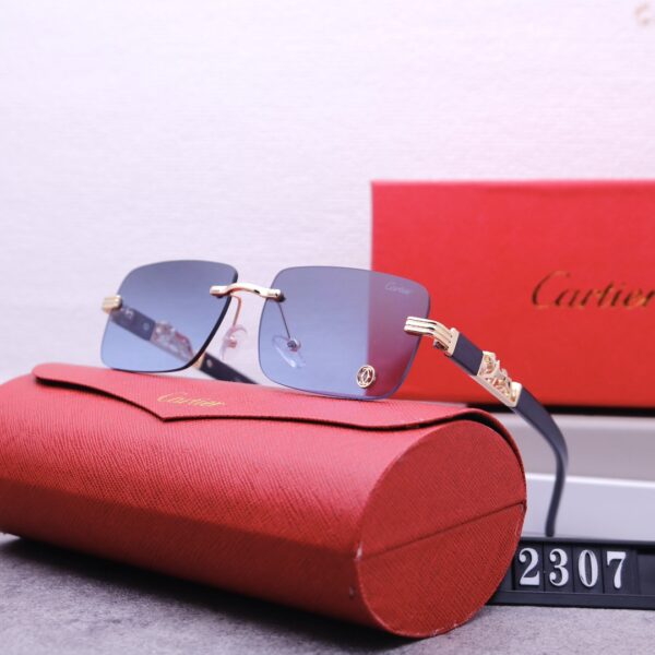 Catier Travel Sunglasses