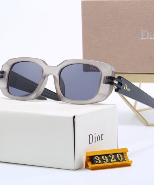 Dior Travel Sunglasses