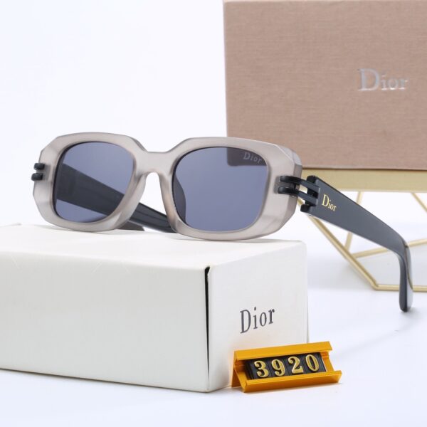Dior Travel Sunglasses