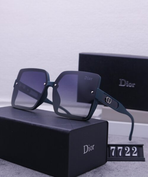 Dior Travel Sunglasses
