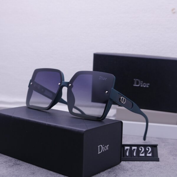 Dior Travel Sunglasses