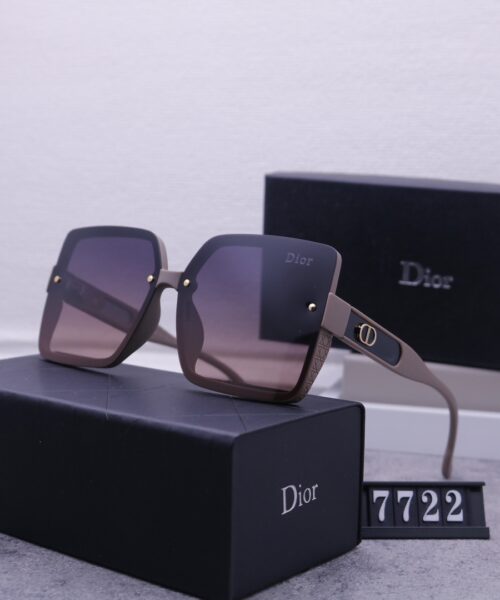 Dior Travel Sunglasses