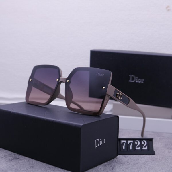 Dior Travel Sunglasses