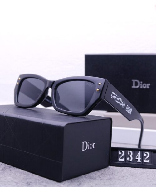 Dior Travel Sunglasses