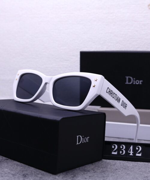 Dior Travel Sunglasses