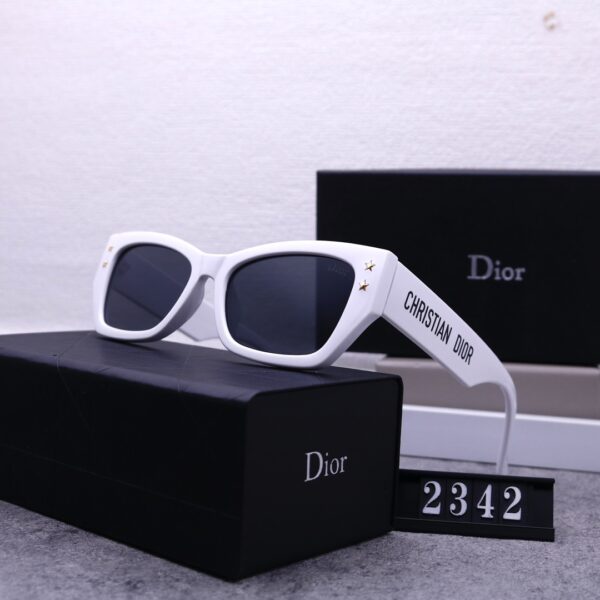 Dior Travel Sunglasses
