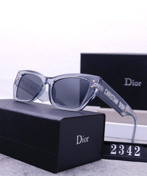 Dior Travel Sunglasses