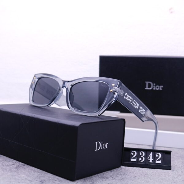 Dior Travel Sunglasses