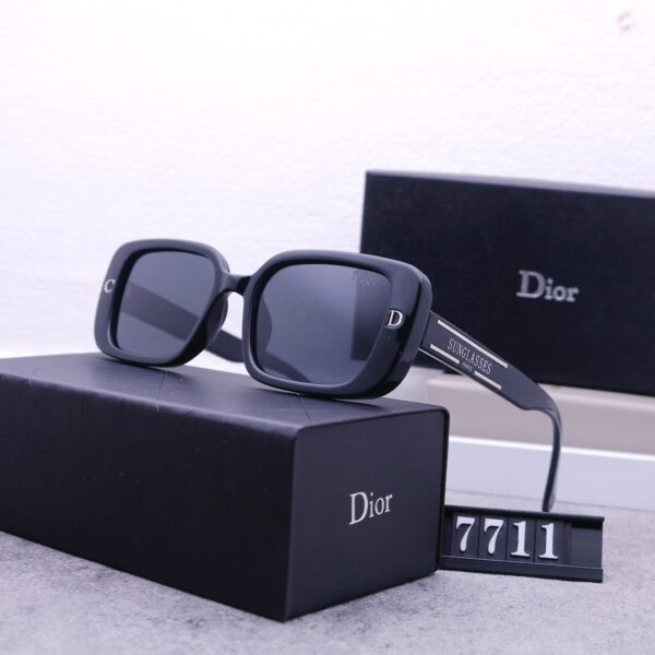Dior Travel Sunglasses