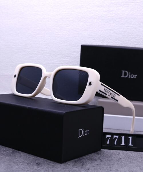 Dior Travel Sunglasses