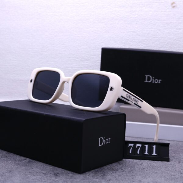 Dior Travel Sunglasses