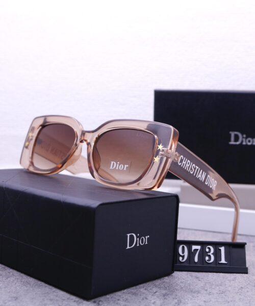 Dior Travel Sunglasses