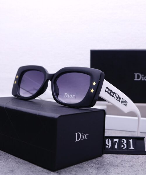 Dior Travel Sunglasses