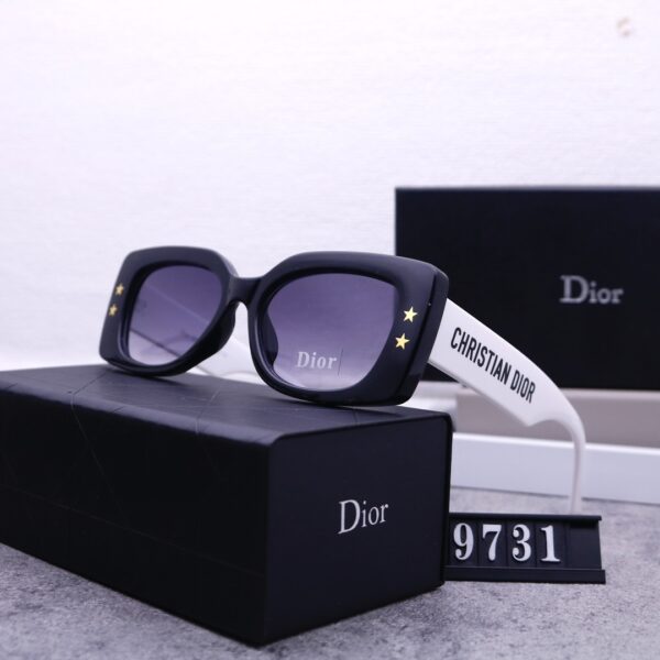 Dior Travel Sunglasses