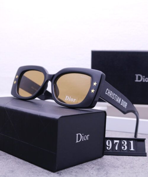 Dior Travel Sunglasses