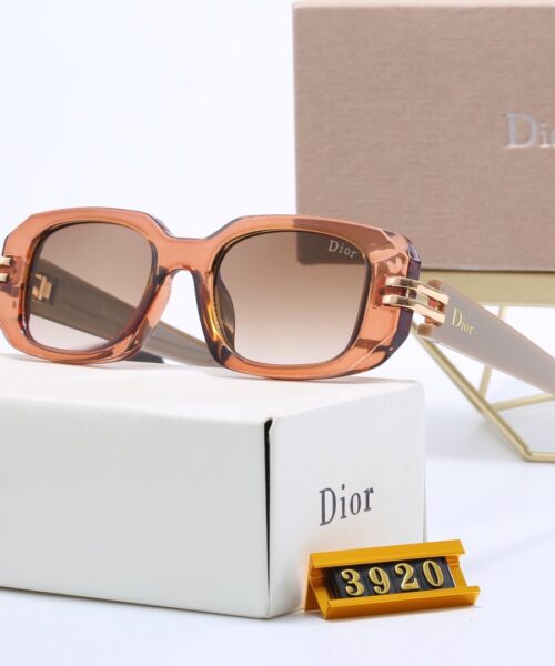 Dior Travel Sunglasses