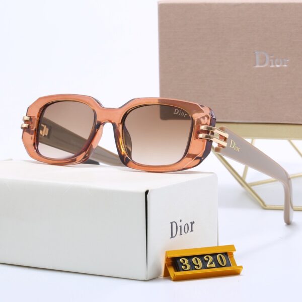 Dior Travel Sunglasses