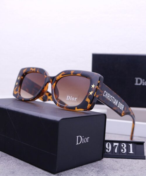 Dior Travel Sunglasses
