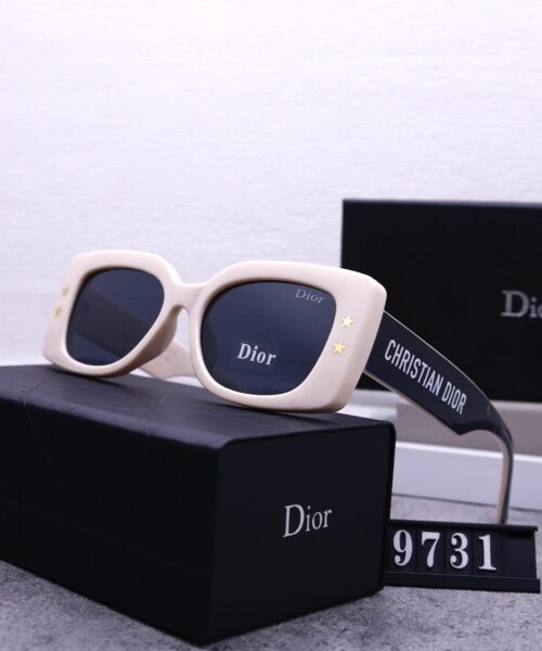 Dior Travel Sunglasses