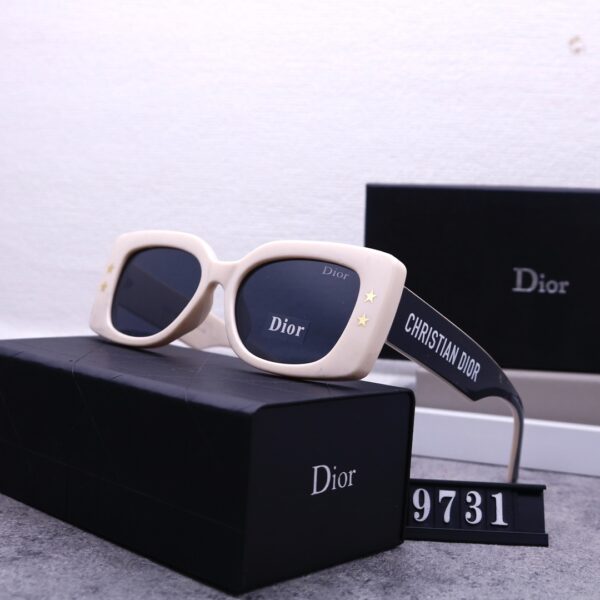 Dior Travel Sunglasses