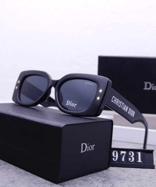 Dior Travel Sunglasses