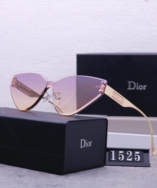 Dior Travel Sunglasses