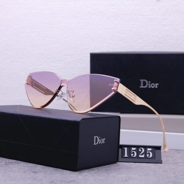 Dior Travel Sunglasses