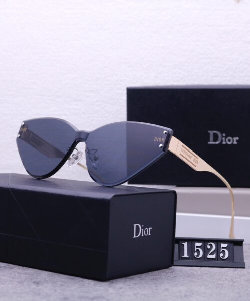 Dior Travel Sunglasses