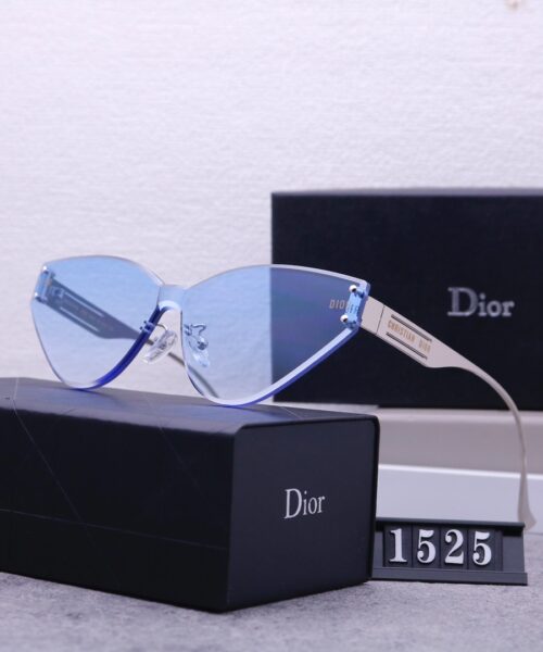 Dior Travel Sunglasses