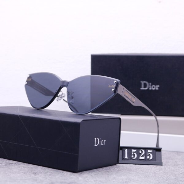 Dior Travel Sunglasses
