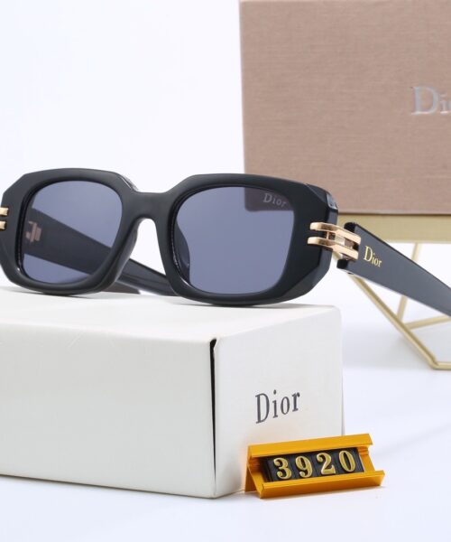 Dior Travel Sunglasses