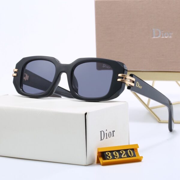 Dior Travel Sunglasses