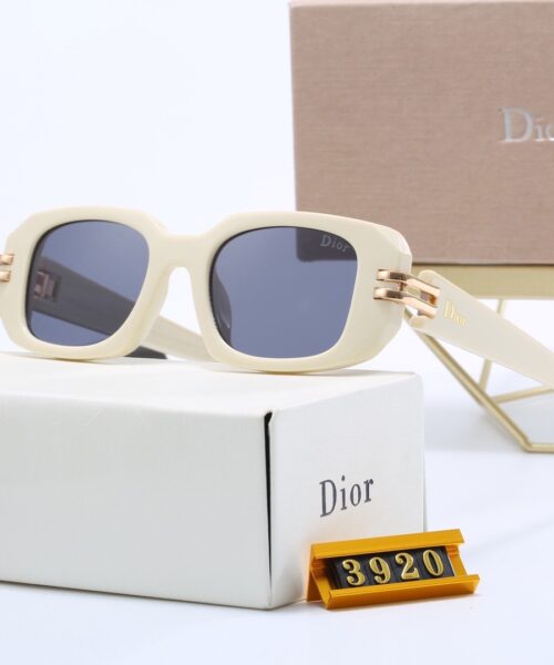Dior Travel Sunglasses