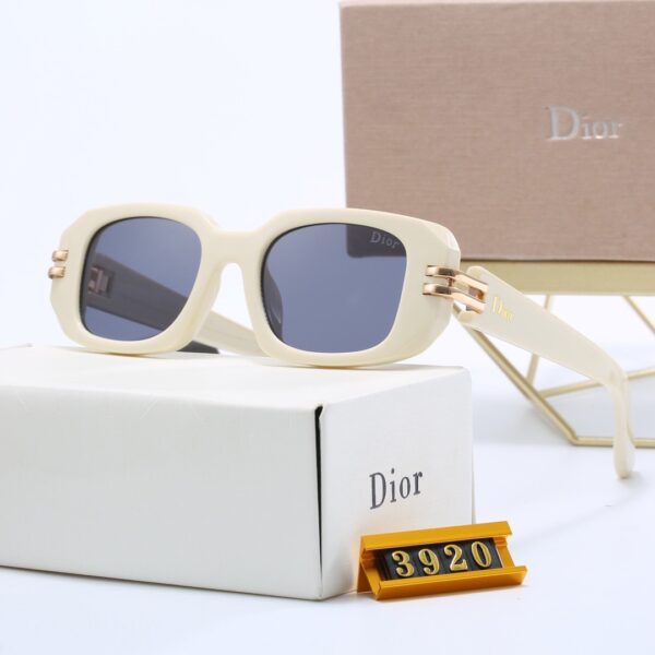 Dior Travel Sunglasses