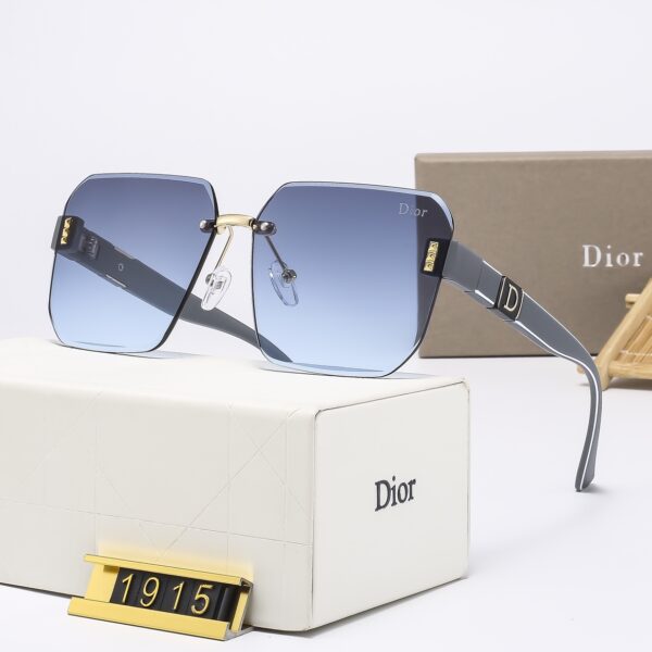 Dior Travel Sunglasses
