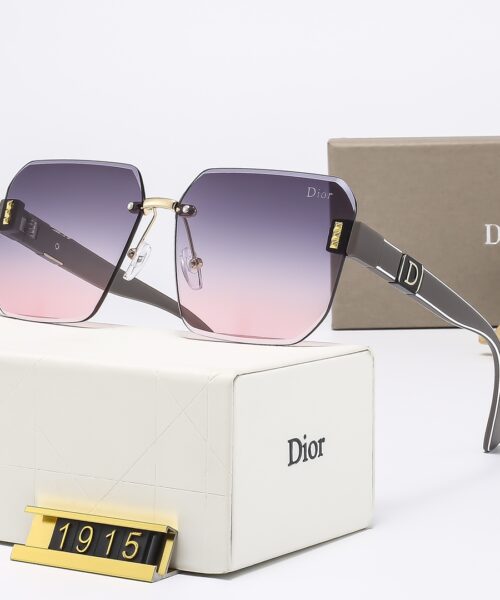 Dior Travel Sunglasses
